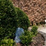 Volgende productafbeelding