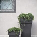 Volgende productafbeelding