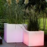 Volgende productafbeelding