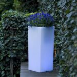 Volgende productafbeelding