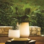 Vorige productafbeelding