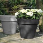 Vorige productafbeelding