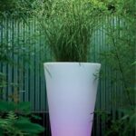 Vorige productafbeelding