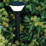 Vorige productafbeelding