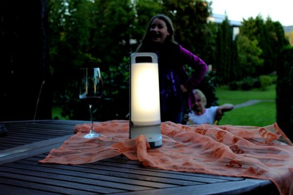 Lutec DRAGONFLY draagbare zilveren Solar lamp