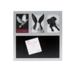 Volgende productafbeelding