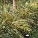 Vorige productafbeelding