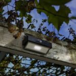 Volgende productafbeelding