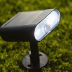 Vorige productafbeelding