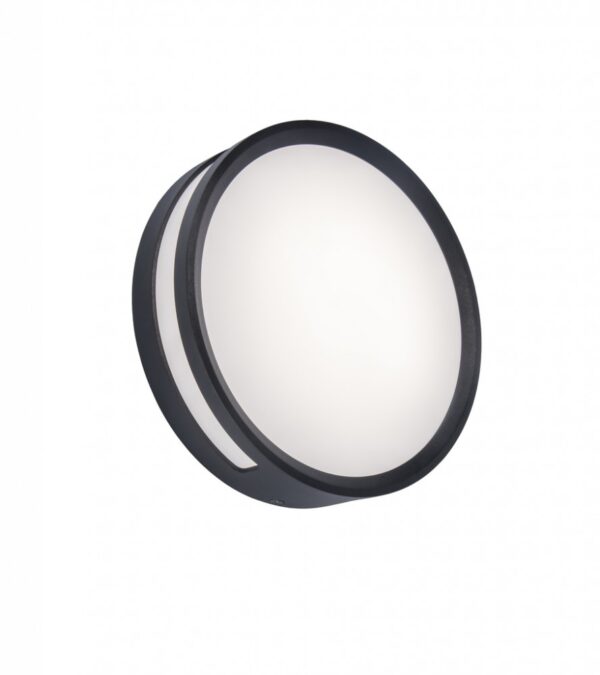 Lutec Rola LED-buitenwandlamp