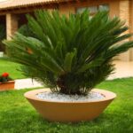 Vorige productafbeelding