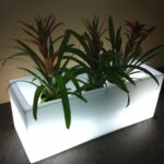 Volgende productafbeelding