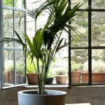 Vorige productafbeelding