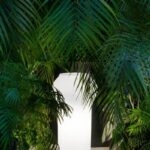 Vorige productafbeelding