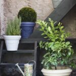 Volgende productafbeelding