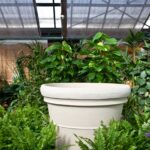 Volgende productafbeelding