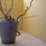 Volgende productafbeelding