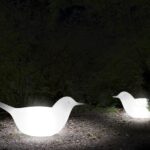 Volgende productafbeelding