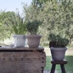 Volgende productafbeelding