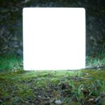 Vorige productafbeelding