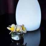 Vorige productafbeelding