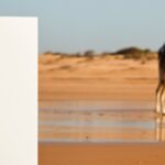 Vorige productafbeelding