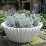 Vorige productafbeelding