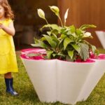 Vorige productafbeelding