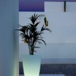 Volgende productafbeelding