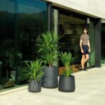 Volgende productafbeelding