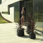 Volgende productafbeelding